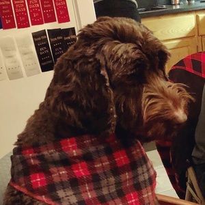 Meet your Posher, Alexandra